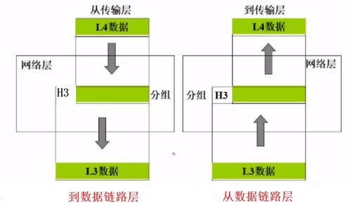 深入了解TCP/IP協(xié)議與計算機網(wǎng)絡體系結(jié)構(gòu)